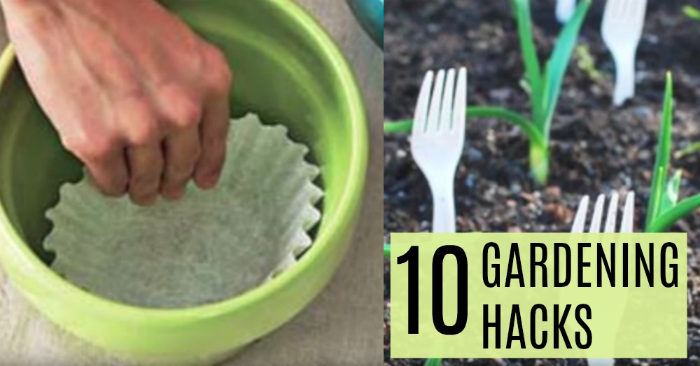 Tired of Animals Digging Up Your Garden? This and Nine Other Gardening