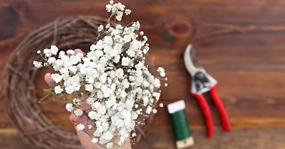 Grab Some Baby’s Breath And Get Ready To Make A Gorgeous Wreath ...