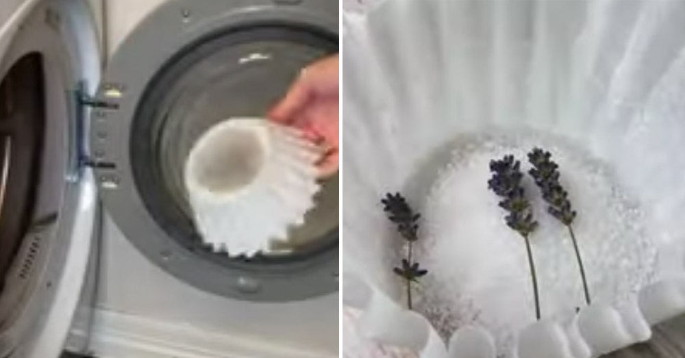 5 Creative Ways To Use Coffee Filters Around The House Crafty House