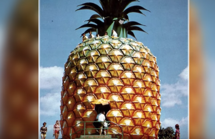 real spongebob pineapple house